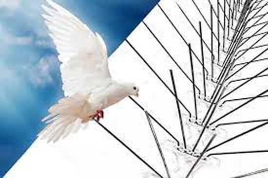 تركيب-شبك-لطرد-الحمام